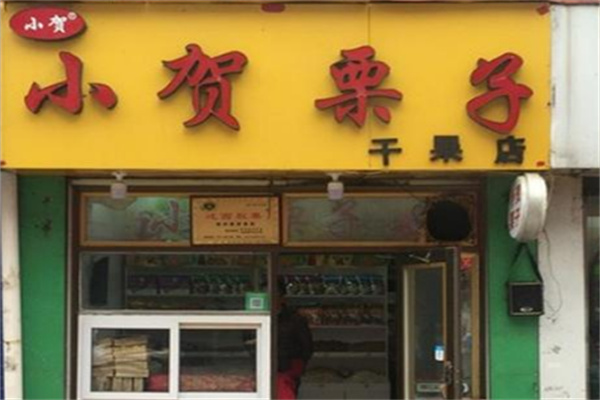 小贺栗子加盟