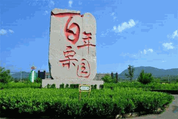 百年栗园加盟