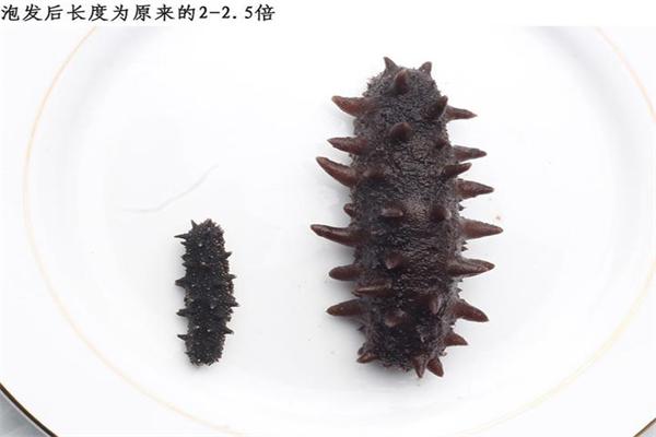 双威海洋休闲食品加盟