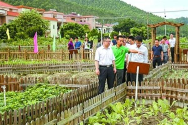 绿色园