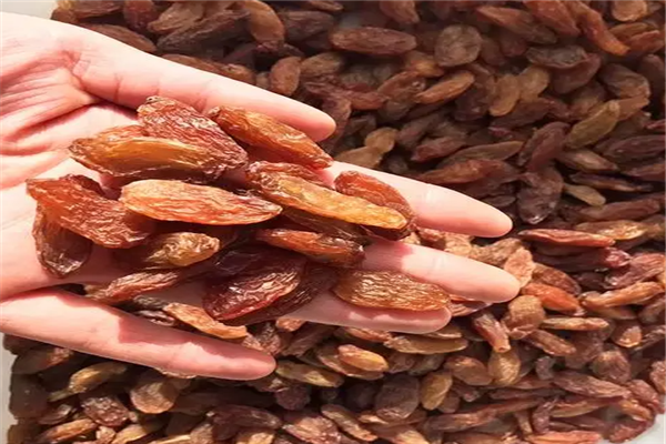 西域小白