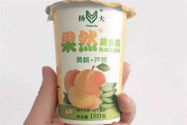 扬大康源乳业