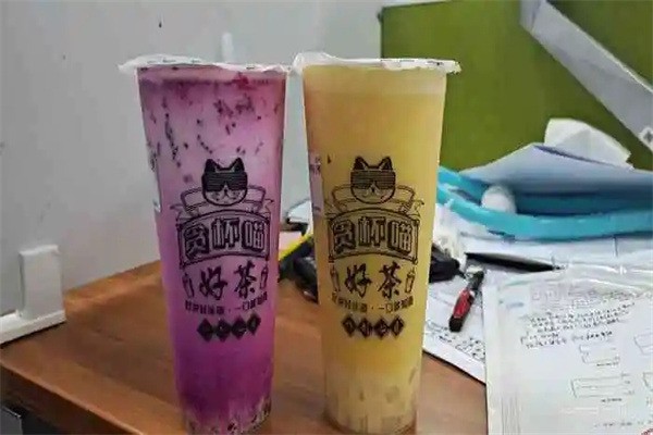 贪杯喵奶茶