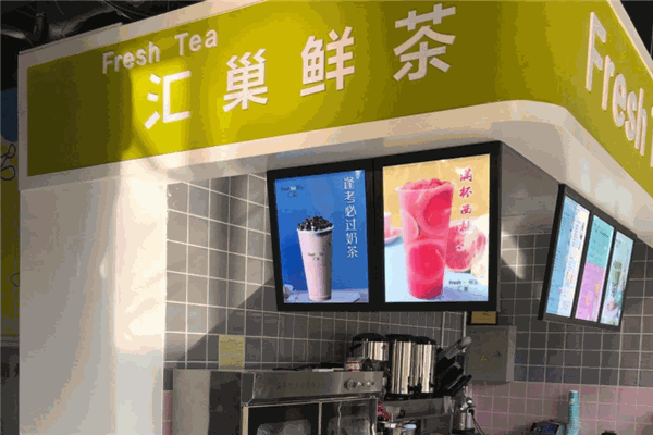 汇巢鲜茶