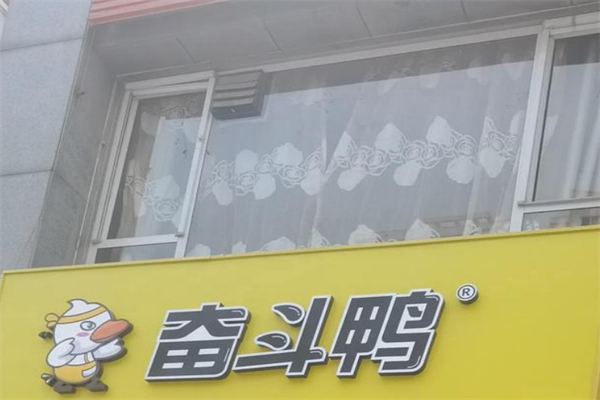 奋斗鸭