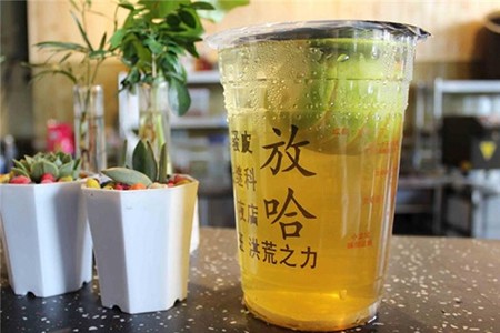 放哈