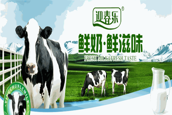 迎春乐鲜奶