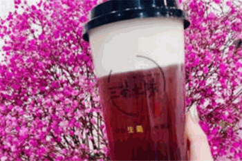 三茶七队