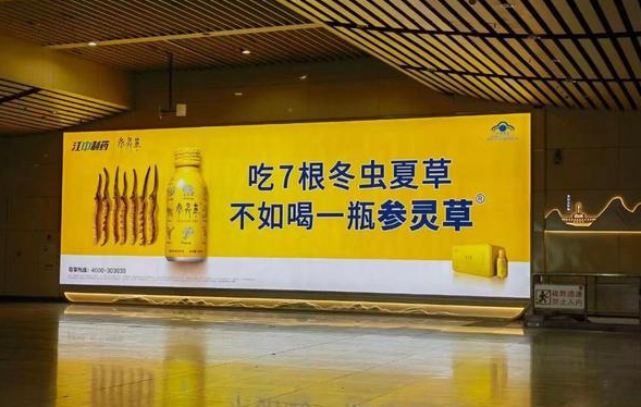 参灵草加盟