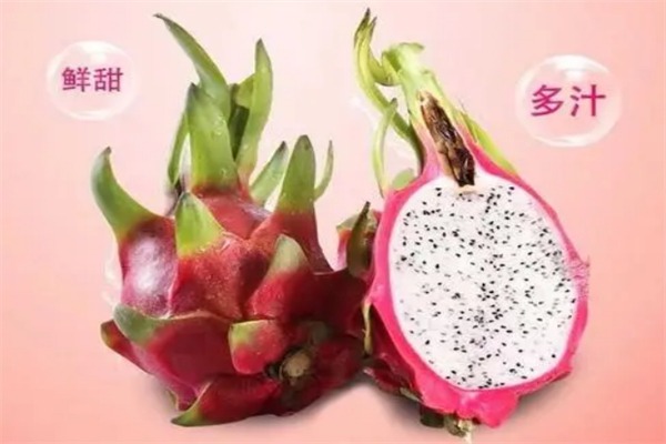 优果鲜水果店加盟
