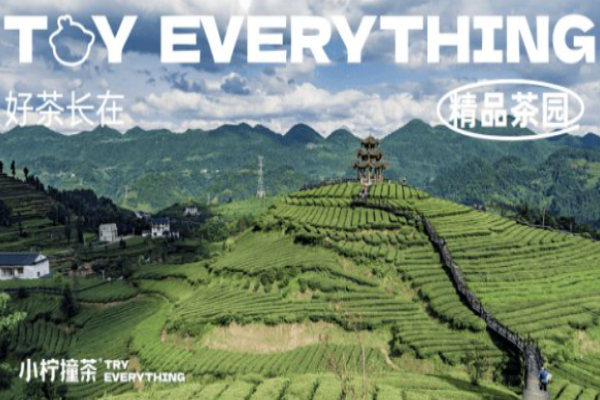 小柠撞茶加盟