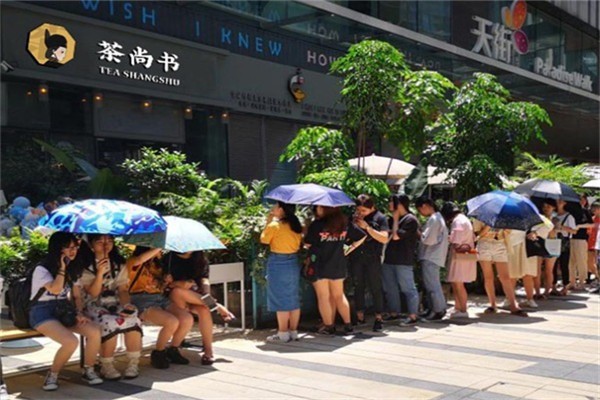 茶尚书加盟