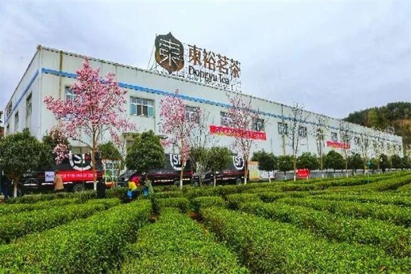 东裕茗茶