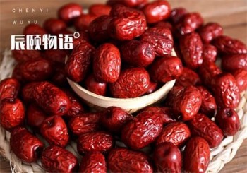 辰颐物语加盟