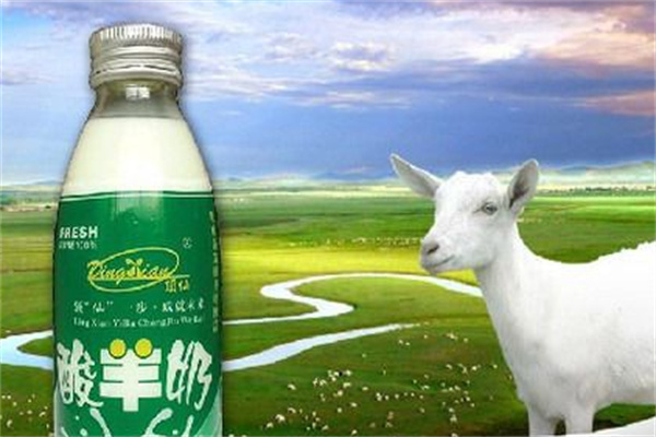 顶仙羊奶饮品加盟