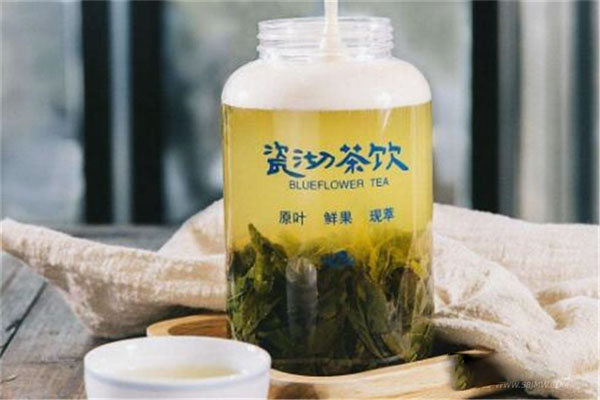 瓷沏茶饮