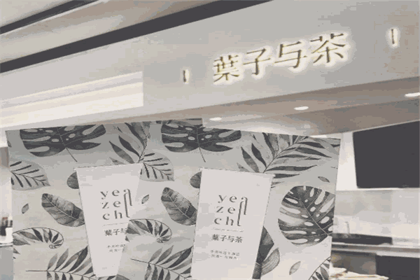 叶子与茶加盟