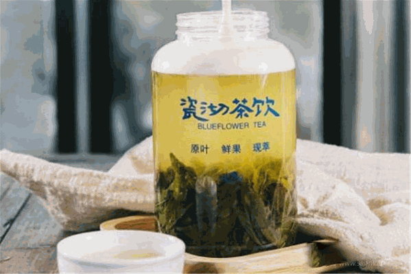 瓷沏茶饮