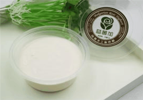益菌加酸奶