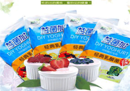 益菌加酸奶