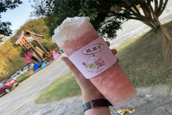 桃花源记奶茶加盟