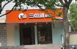 三色鸽