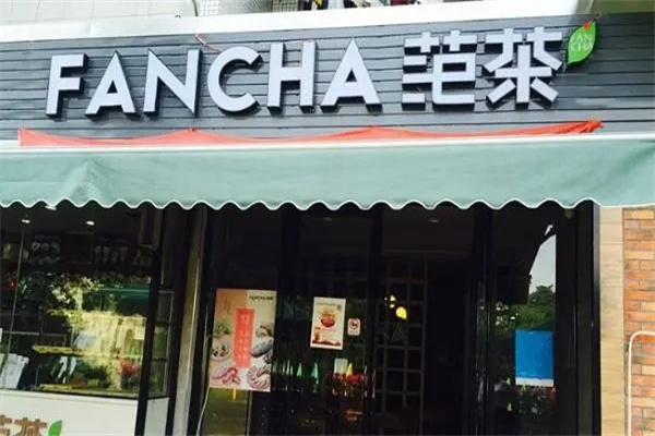fancha范茶
