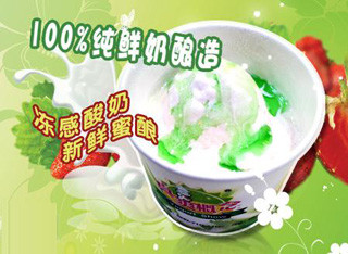 真爽概念酸奶吧加盟