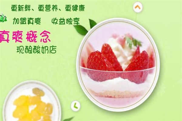 真爽概念酸奶吧加盟