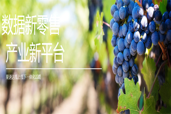 果速达水果果切