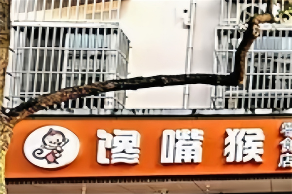 馋嘴猴零食加盟
