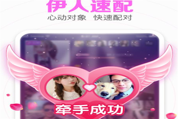 伊对婚恋加盟
