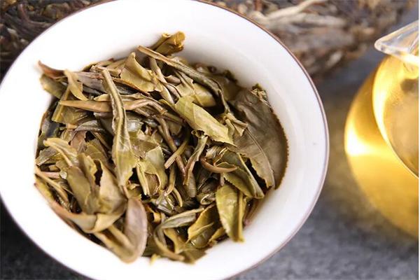 太和茶加盟