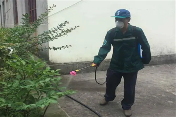 嘉德有害生物防治