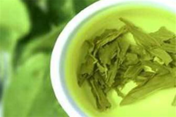 雾与山茶