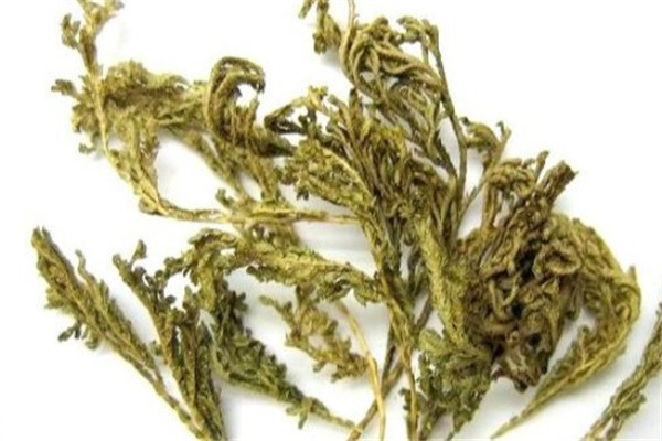 绿生中草药加盟