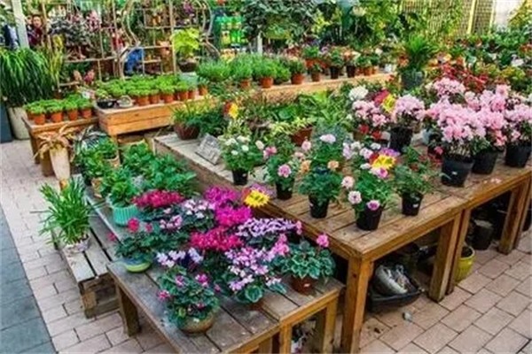 鹿大人鲜花店