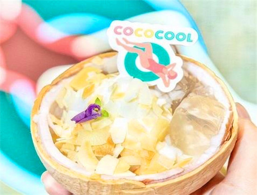 cococool椰壳冰淇淋