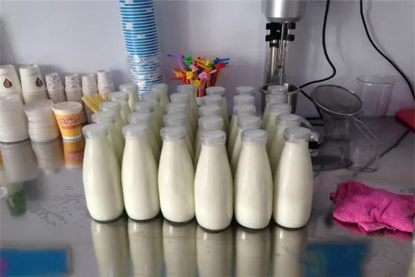 来思尔鲜奶配送加盟