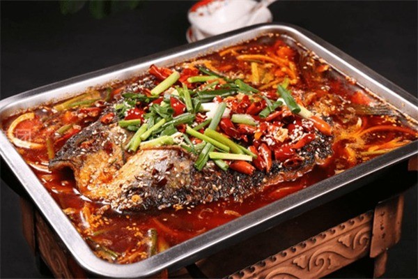 鱼情与你