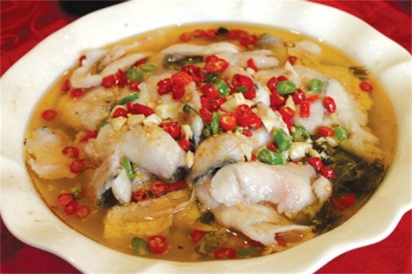 鱼情与你