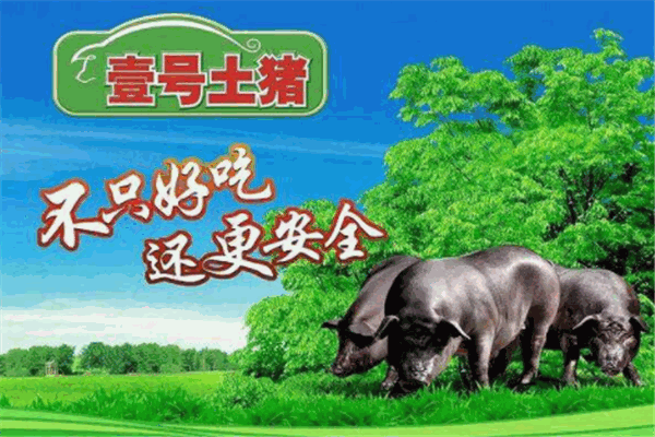 壹号土猪