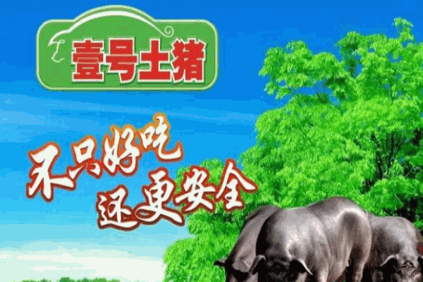 壹号土猪