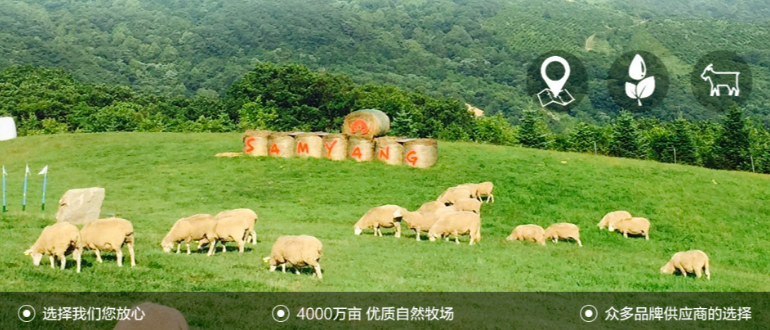 八卦炉烤肉
