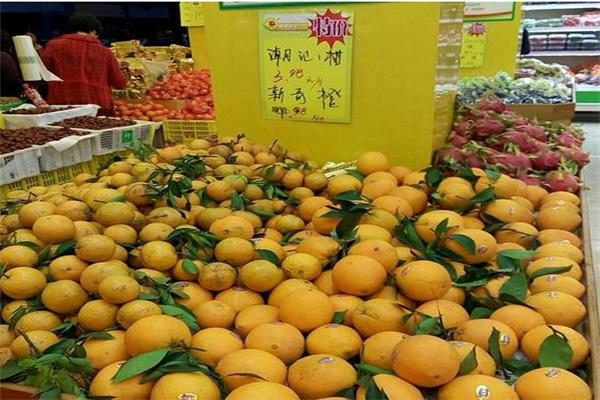 桂龙果园水果加盟