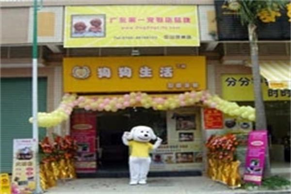 狗狗生活宠物店