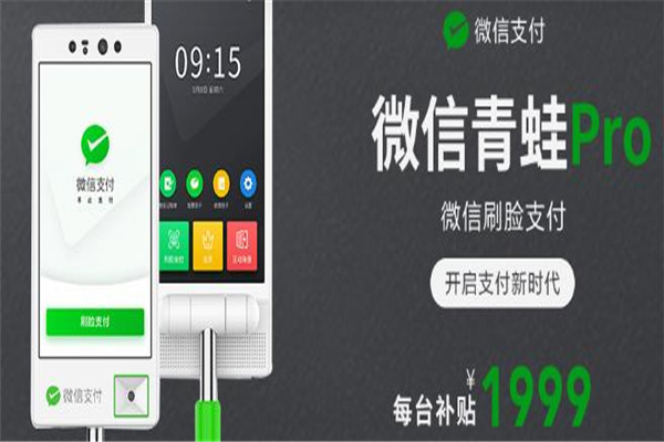 每日付