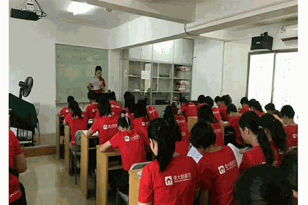 金秀家政