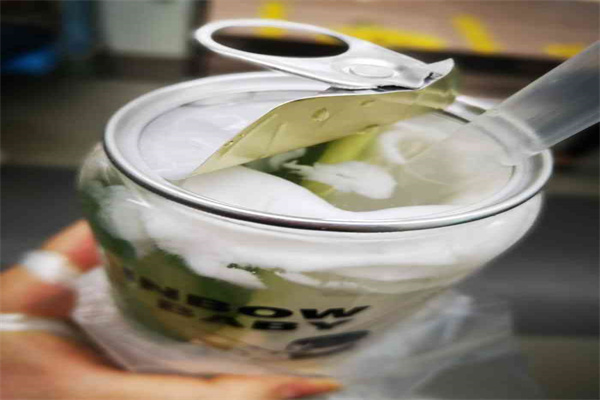 两只椰子茶饮加盟