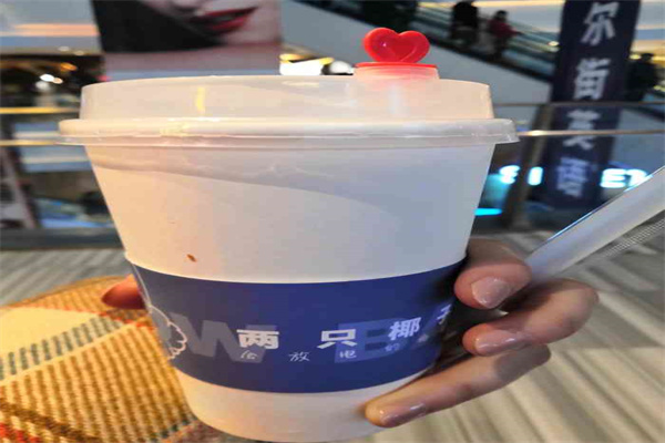 两只椰子茶饮加盟